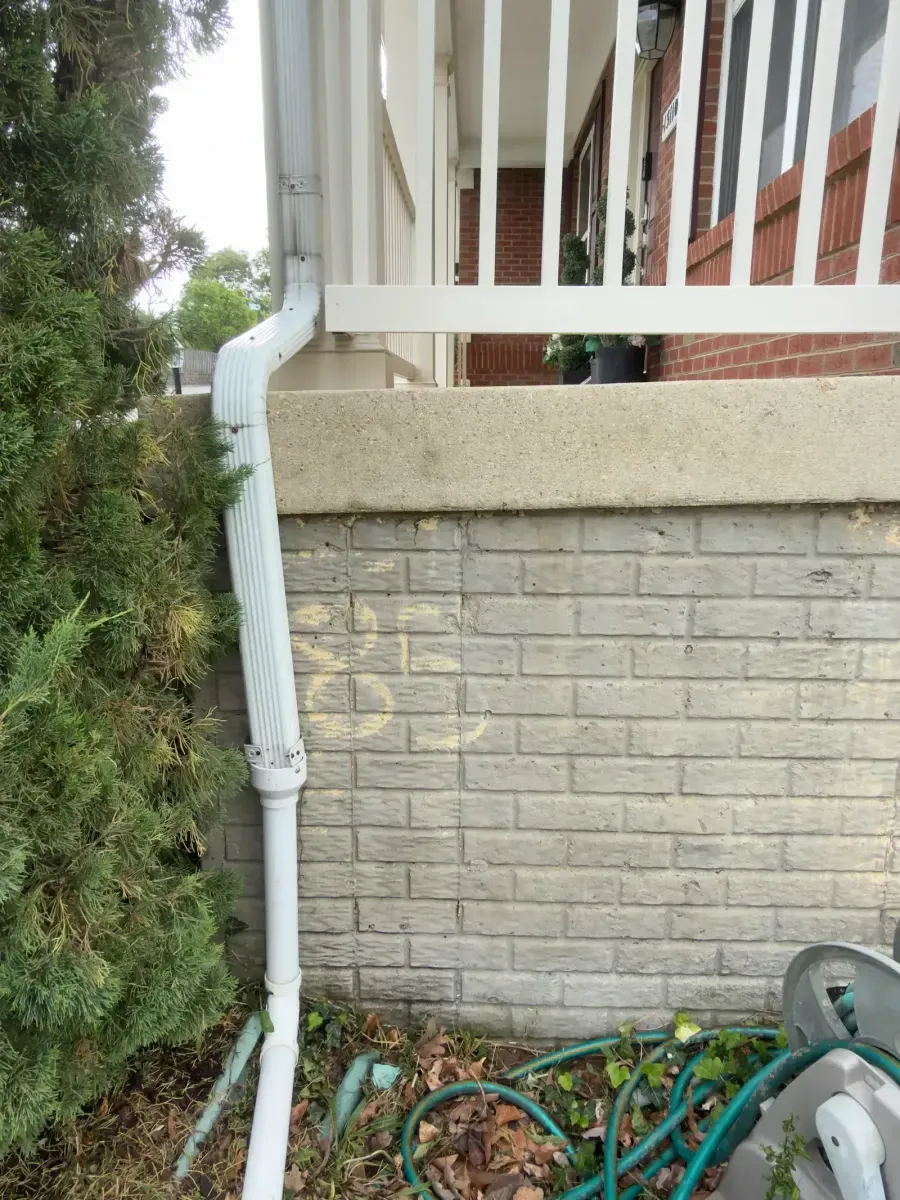 Concrete after professional pressure washing in Silver Spring, MD