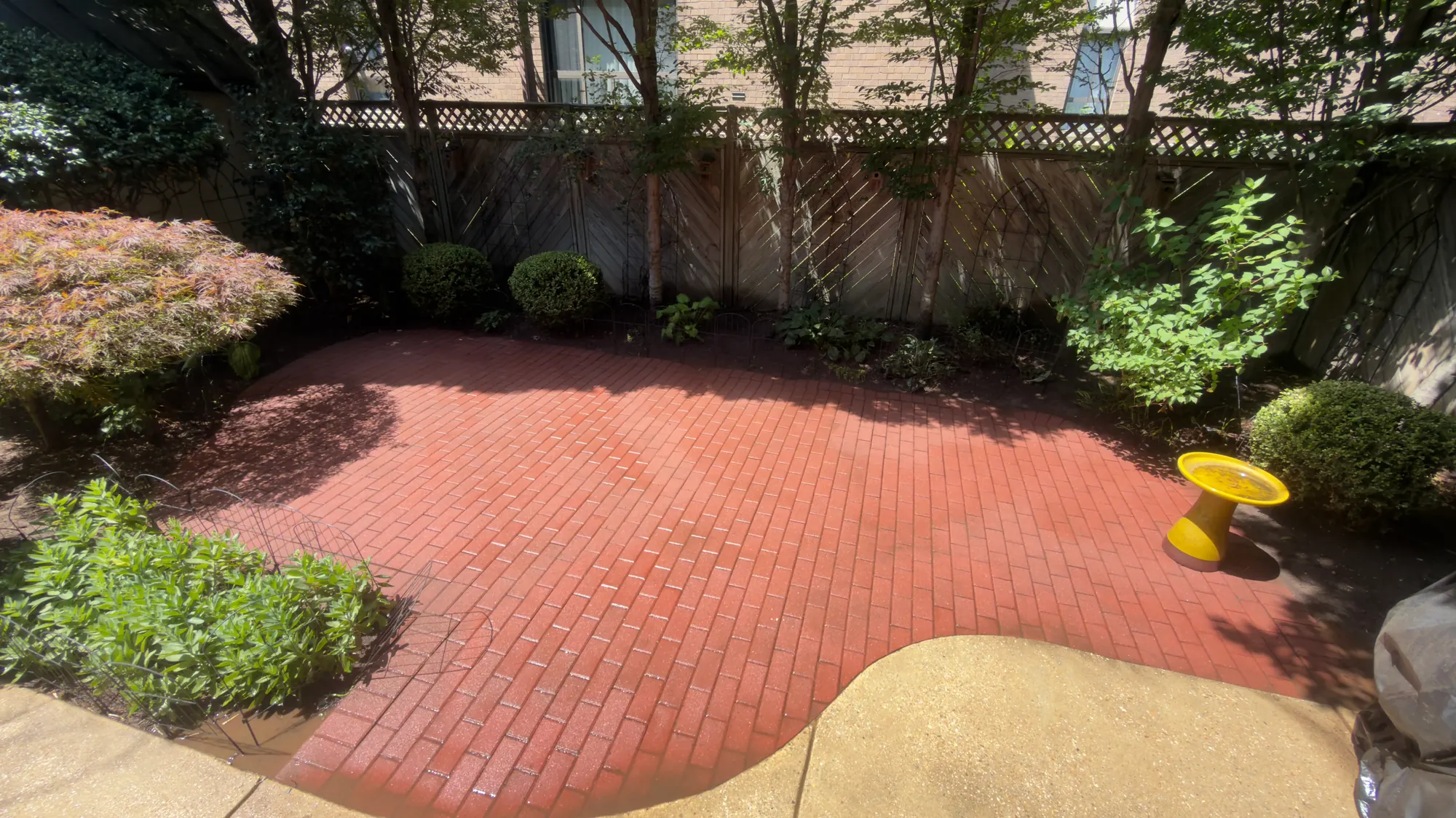 Concrete after professional pressure washing in Silver Spring, MD